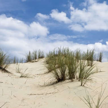 çöl dunes