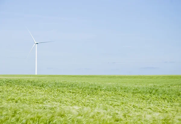 Wind Turbines at the Field — Stock Photo, Image