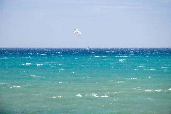 Costa del Mediterraneo - Costa Azzurra — Foto Stock