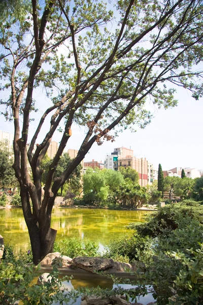 Park v Barceloně, Španělsko — Stock fotografie