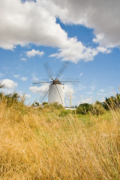Antiguo Molino de viento en la granja — Foto de Stock