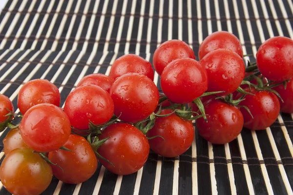 Verse cherry tomaten op de tak — Stockfoto