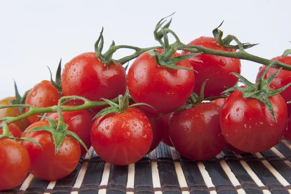 Fresh Cherry Tomatoes on the branch — Stock Photo, Image