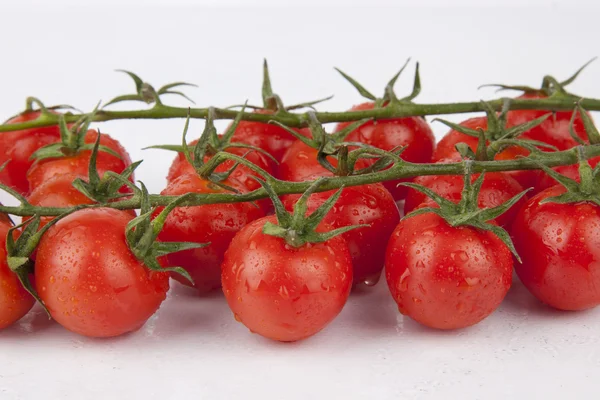 Čerstvá cherry rajčata na větvi — Stock fotografie