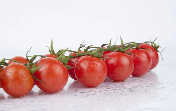 Свежие вишневые помидоры на ветке — стоковое фото