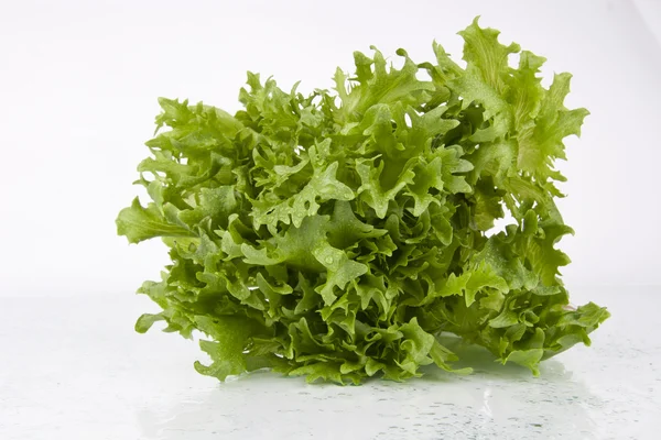 Verse groene salade op wit — Stockfoto