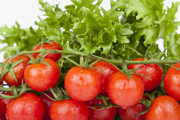 Čerstvá cherry rajčaty a zeleným salátem — Stock fotografie