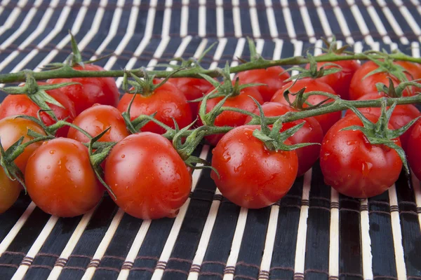 Dal taze domates — Stok fotoğraf