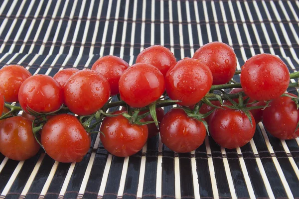 Tomates cerises fraîches sur la branche — Photo