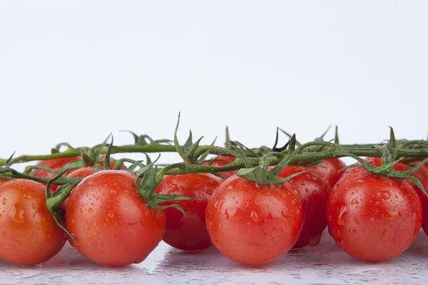 Свежие вишневые помидоры на ветке — стоковое фото
