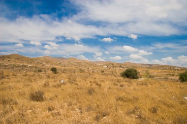 Doğa, İspanya