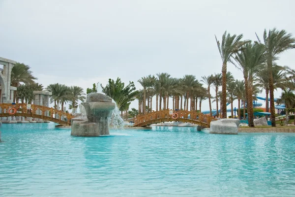 stock image Pool and palms