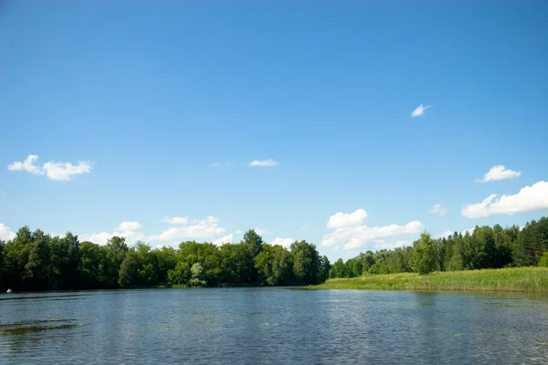 Stock image Summer landscape