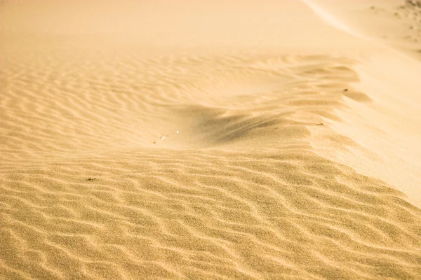モロッコの砂漠 — ストック写真