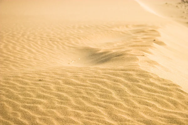 Desierto marroquí — Foto de Stock