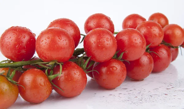 Verse cherry tomaten op de tak — Stockfoto
