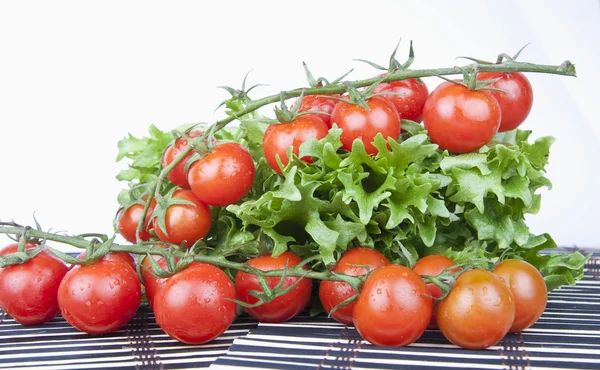 Verse cherry tomaten en groene salade — Stockfoto