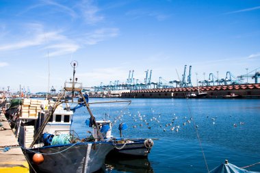 Algeciras bağlantı noktası