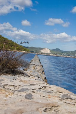 doğa Ibiza, İspanya