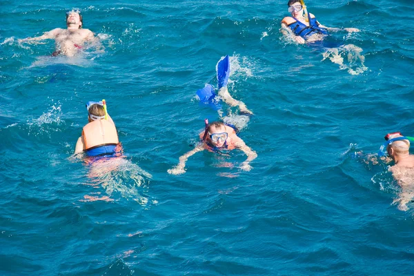 Schwimmen im Roten Meer — Stockfoto