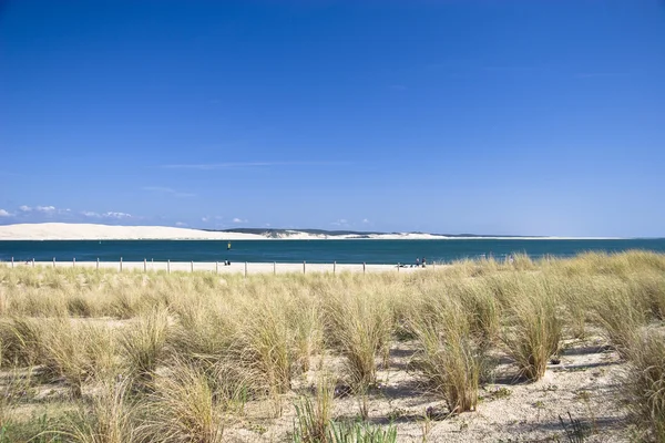 Sea Coast Near Bordeaux — Stock Photo, Image