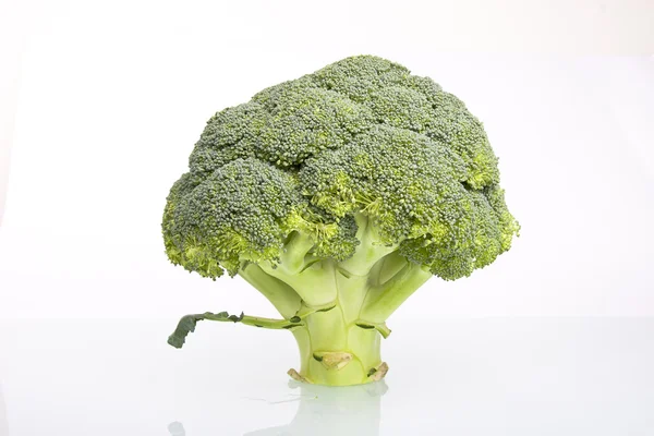 Fresh Raw Broccoli — Stock Photo, Image