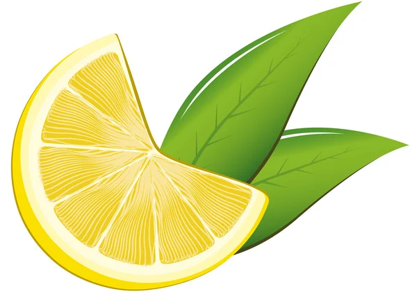 Лимон и листья — стоковый вектор