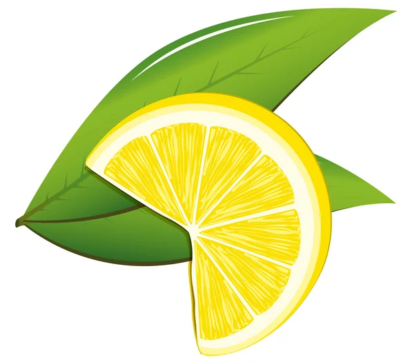 Limão e folhas — Vetor de Stock