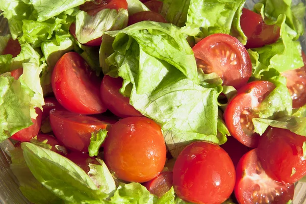Salat mit fröhlichen Tomaten und grünen Blättern — Stockfoto