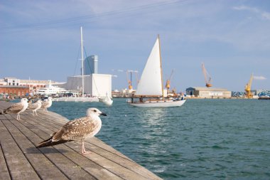 Barcelona bağlantı noktası