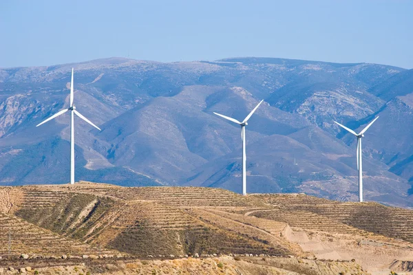 Vindkraftverk i Spanien — Stockfoto