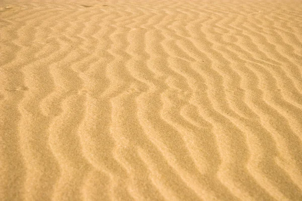 Deserto marocchino — Foto Stock