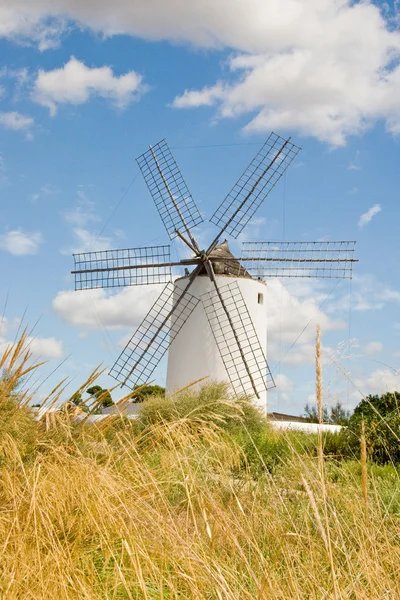 Antiguo Molino de viento en la granja — Foto de Stock