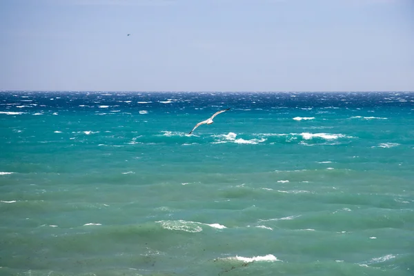 地中海沿岸-フランス領リビエラ — ストック写真