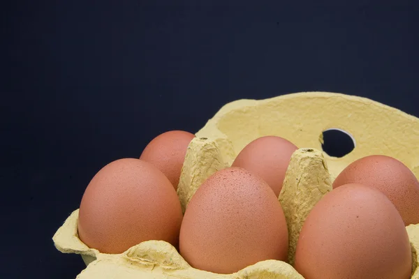 Chiken Eier Packung — Stockfoto