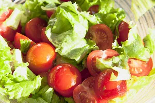 Sallad med glada tomater och gröna blad — Stockfoto