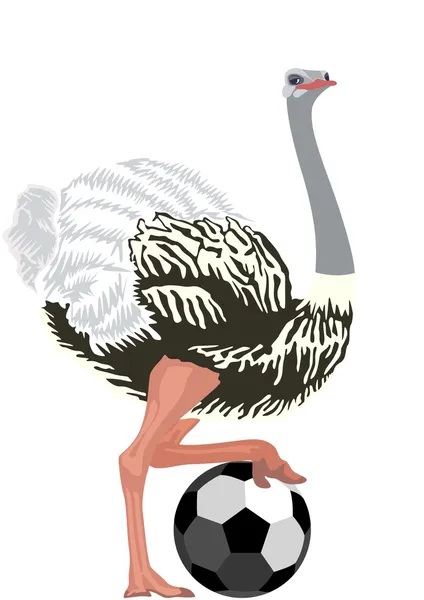 Struisvogel met een voetbal — Stockvector