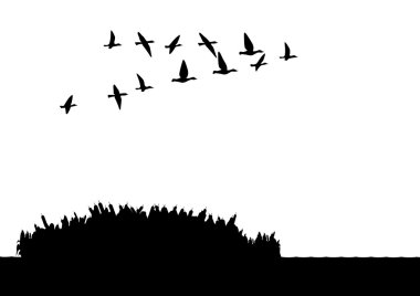 Ducks on the lake clipart