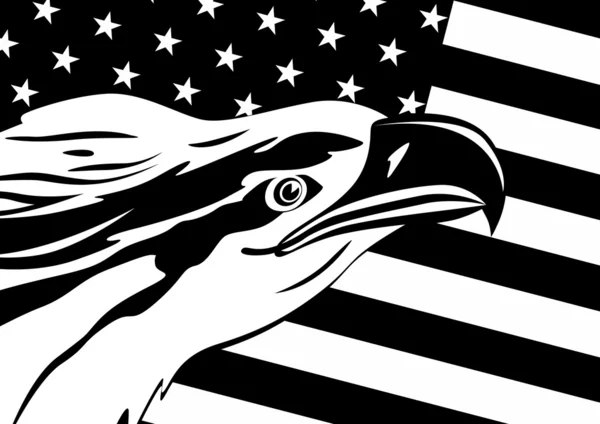 Águia e bandeira dos EUA — Vetor de Stock