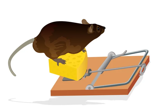 大鼠和小鼠的陷阱 — 图库矢量图片