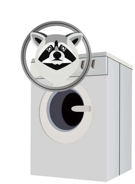 Waschbär und Waschmaschine — Stockvektor