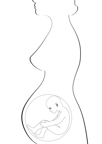 Een zwangere vrouw — Stockvector