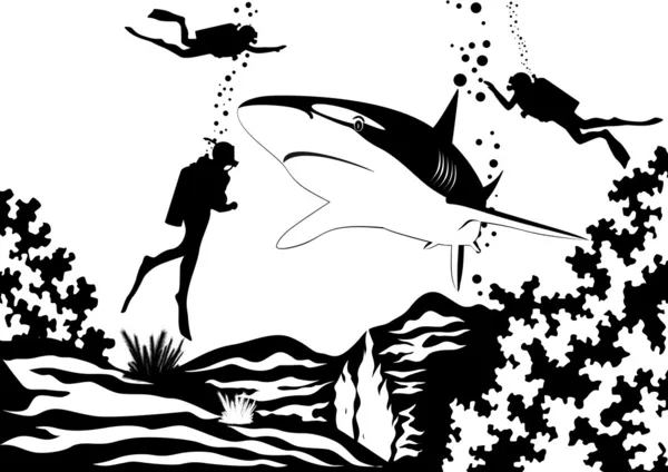 Plongeurs et requins — Image vectorielle