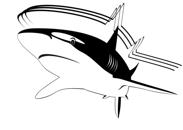Tubarão, — Vetor de Stock