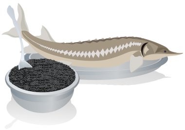 Sturgeon caviar clipart