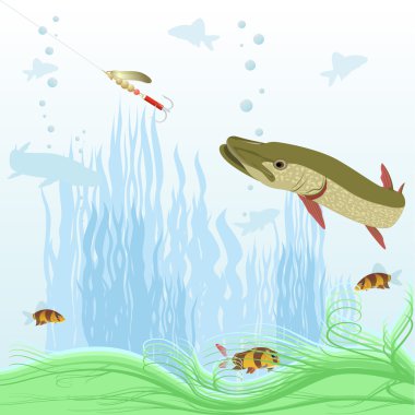 Predatory fish clipart