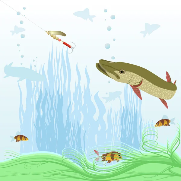 Peixes predadores — Vetor de Stock