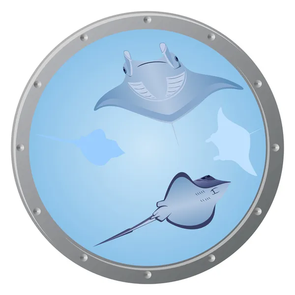 Porthole — Stock Vector