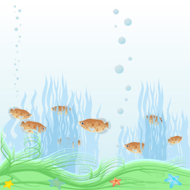 Aquarium clipart