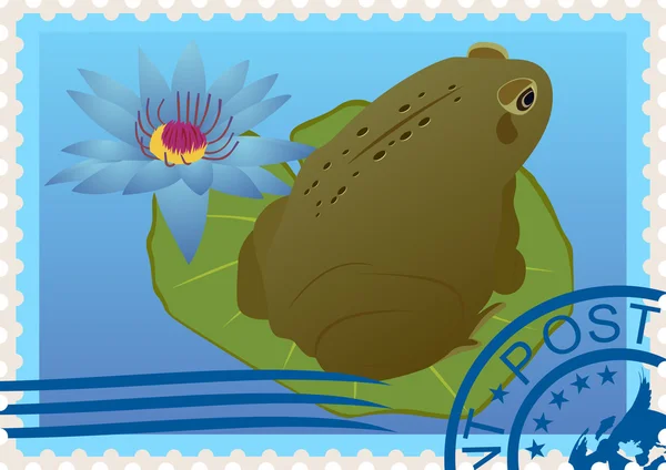 Postage stamp with a frog — Stock Vector
